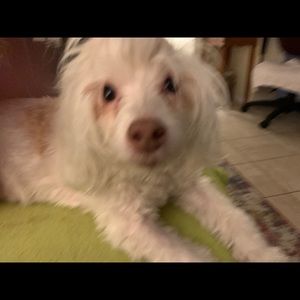 Meet your Posher, Sheena